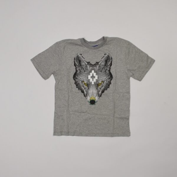 t-shirt county of milan grigia con stampa