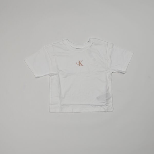 t-shirt calvin klein