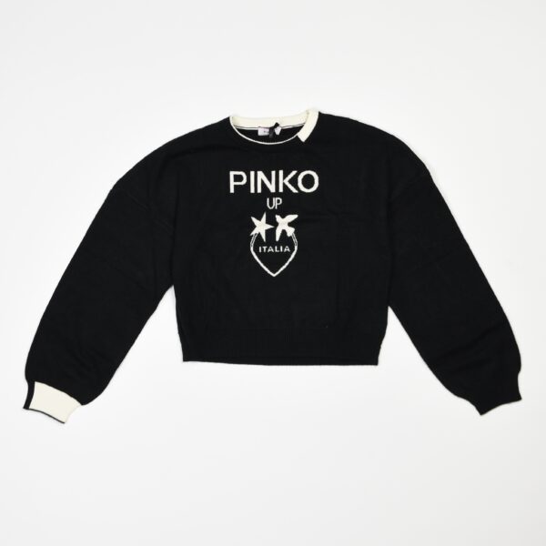 maglione pinko